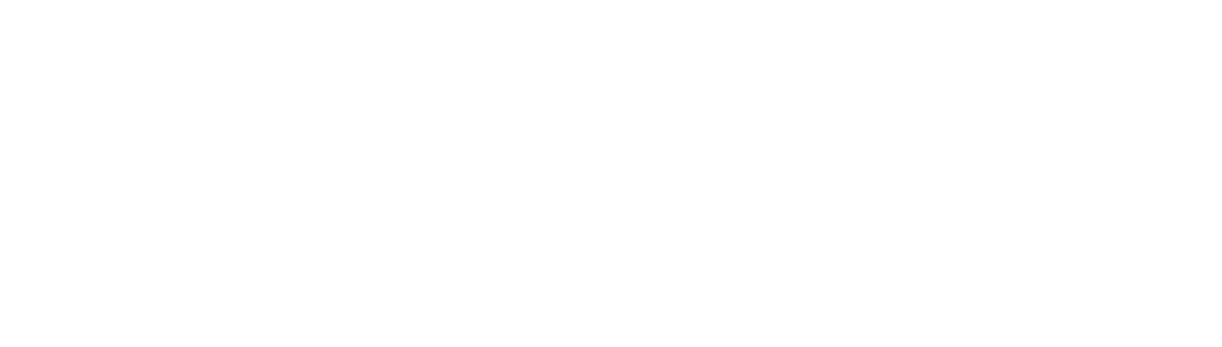 Big Image Logo